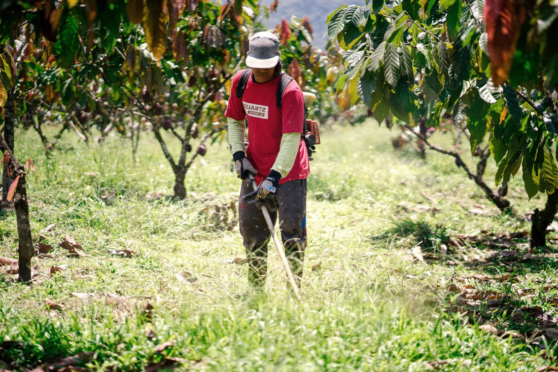How to Use Herbicide on Agricultural Fields: Step-by-Step Guide